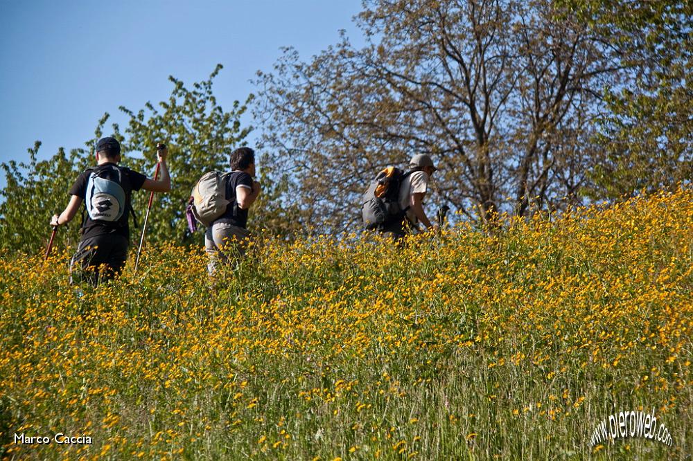 03_Saliamo tra i fiori alti.jpg